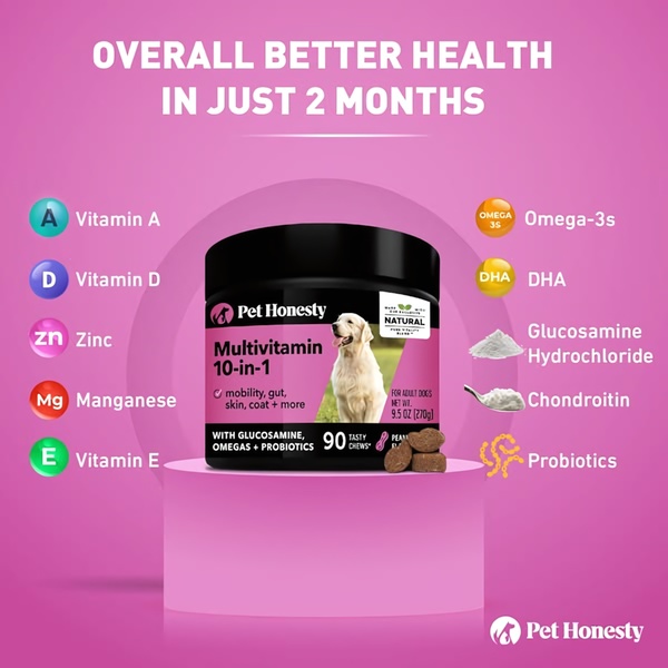 A 1:1 format ad showcasing a dog multivitamin container surrounded by labeled icons of its nutritional ingredients.